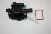 AUTOMEGA 3013360X2 Thermostat, coolant